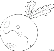 beet Coloring Pages To Print